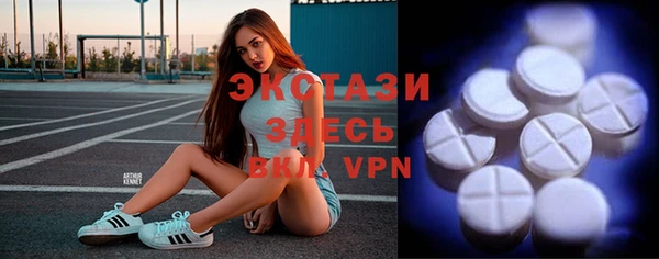 сатива Няндома