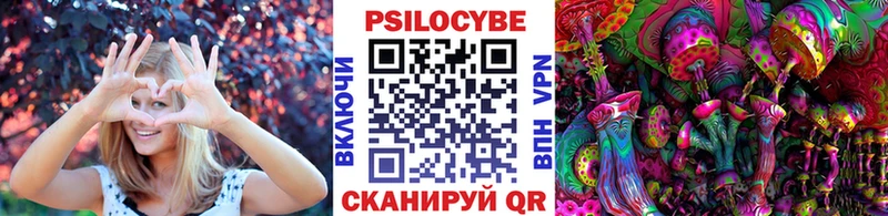 Псилоцибиновые грибы Cubensis Зеленогорск